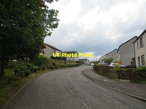 Photo 6"x4" Talisman Rise Adambrae c2014