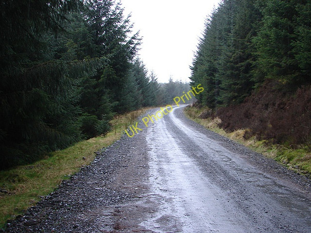 Photo 6"x4" Forestry track approaching Bryn Du on a drizzly day Pant Mawr\/SN8482 c2008