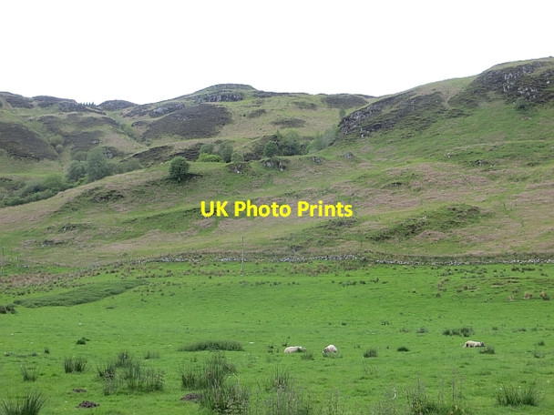 Photo 6"x4" Field, Lagganmore Kilninver c2014
