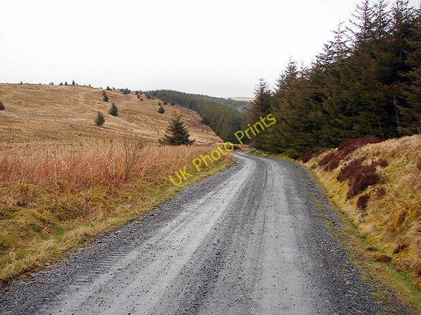 Photo 6"x4" Forestry Track near Bryn Du Pant Mawr\/SN8482 c2008