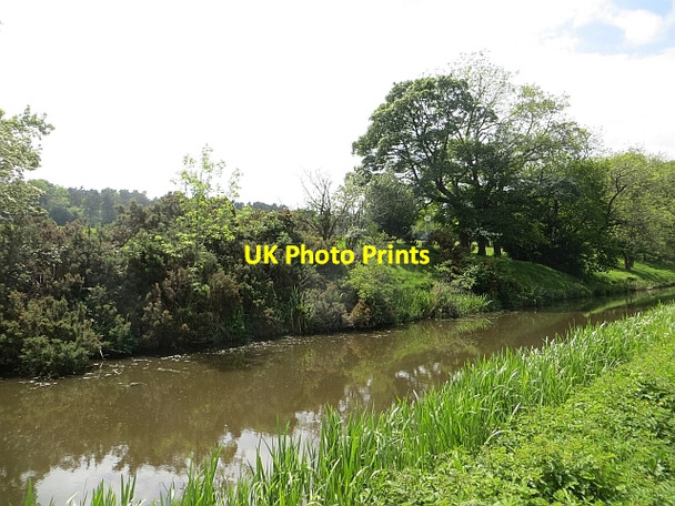 Photo 6"x4" Union Canal, Polmont Brightons c2014