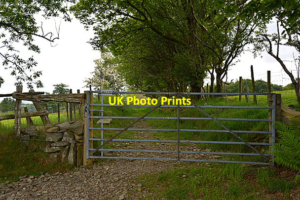 Photo 6"x4" Footpath heading towards the Nant Cou Tregaron c2014