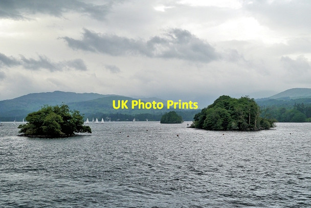 Photo 6"x4" Tree Covered Islands on Windermere Bowness-On-Windermere c2014