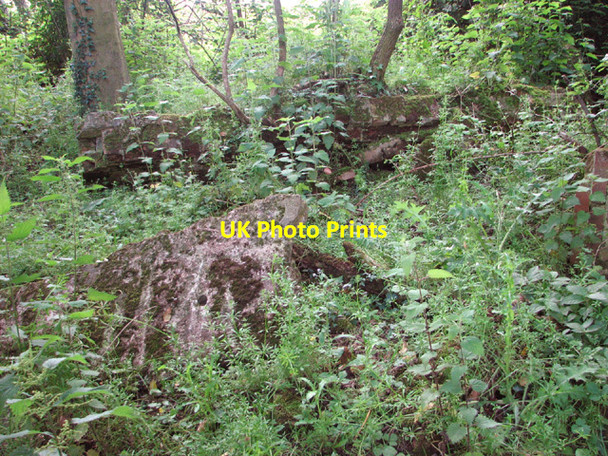 Photo 6"x4" Remains of an air raid shelter at RAF Hethel Hethel c2014