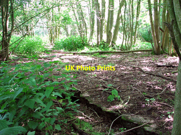 Photo 6"x4" Concrete hut base on Site 3, RAF Hethel Hethel c2014