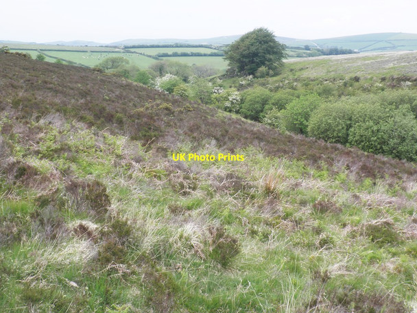 Photo 6"x4" Feeder valley, above the East Lyn River Brendon\/SS7647 c2014