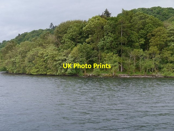 Photo 6"x4" Windermere Shore, Pinstones Wood High Wray c2014