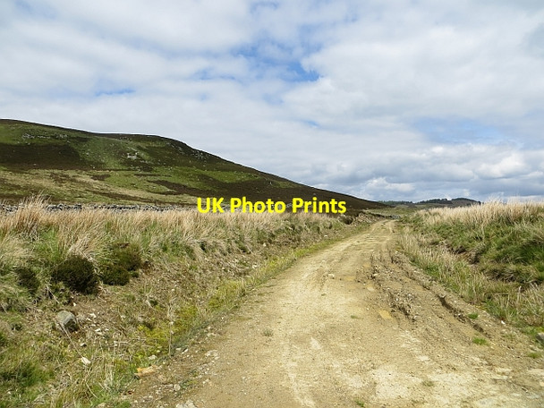 Photo 6"x4" Newish road Taymouth Castle c2014