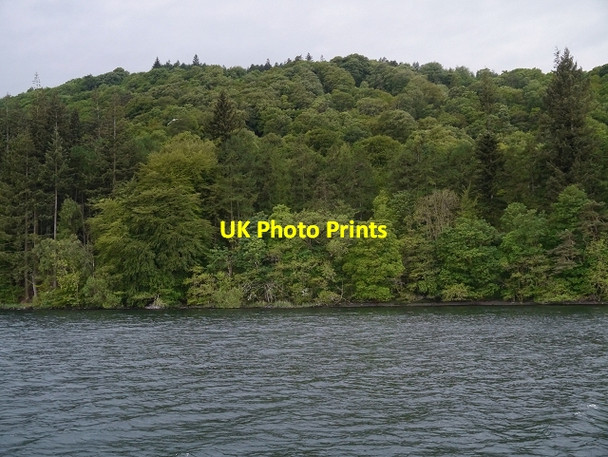 Photo 6"x4" Windermere Shore, Fleming Wood Bowness-On-Windermere c2014