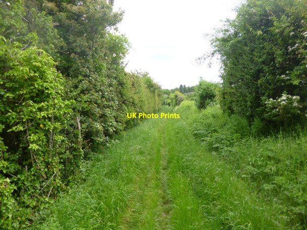 Photo 6"x4" Breamore, North Charford Drove Whitsbury c2014