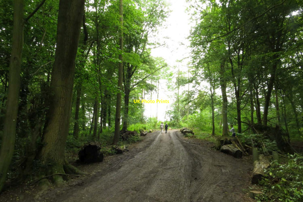 Photo 6"x4" The Coffin Path to Naphill High Wycombe c2014