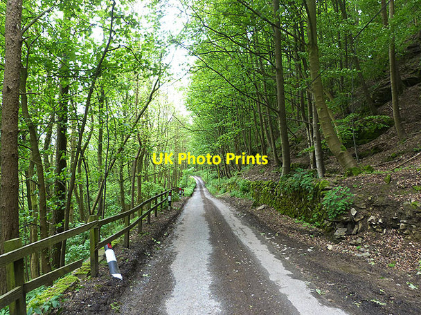 Photo 6"x4" Cordilleras Lane, Marske Clints\/NZ1000 c2014