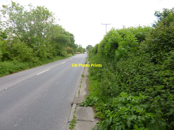 Photo 6"x4" Downton, footpath Wick\/SU1621 c2014