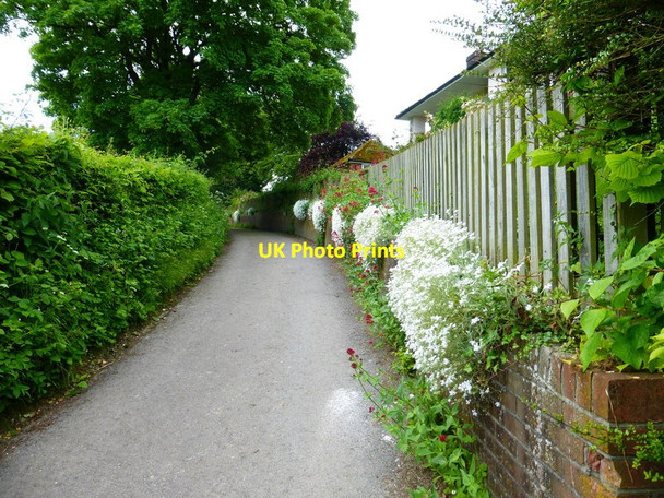 Photo 6"x4" Attractive access road East End\/SU6424 c2014