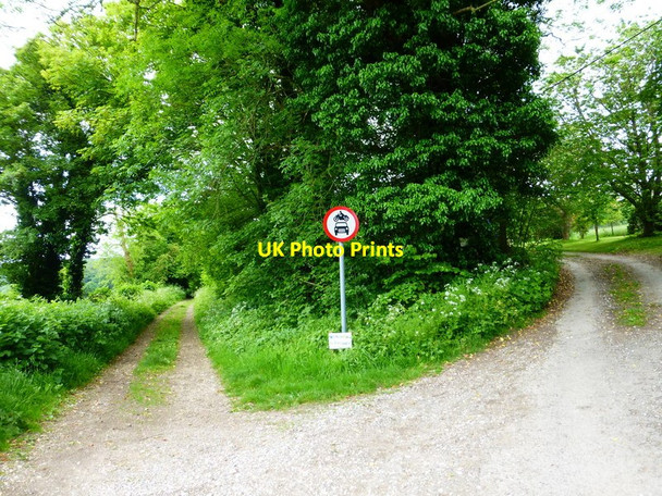 Photo 6"x4" Road becomes restricted byway East End\/SU6424 c2014