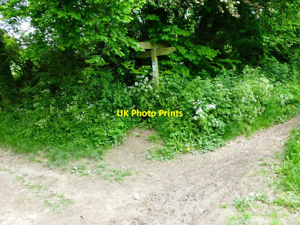 Photo 6"x4" Signpost on the South Downs Way Coombe\/SU6620 c2014