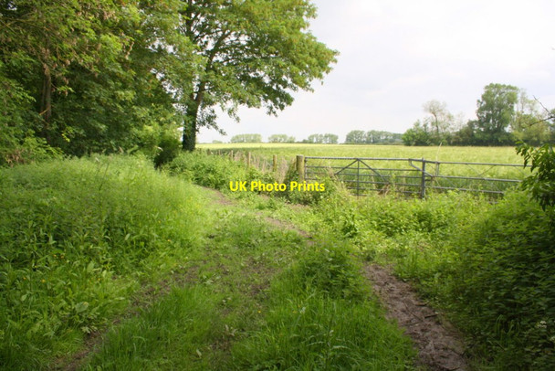 Photo 6"x4" Farm track towards Aston Tirrold Aston Tirrold c2014
