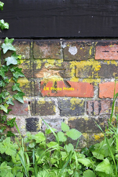 Photo 6"x4" Benchmark on barn at Lollingdon Farm Cholsey c2014