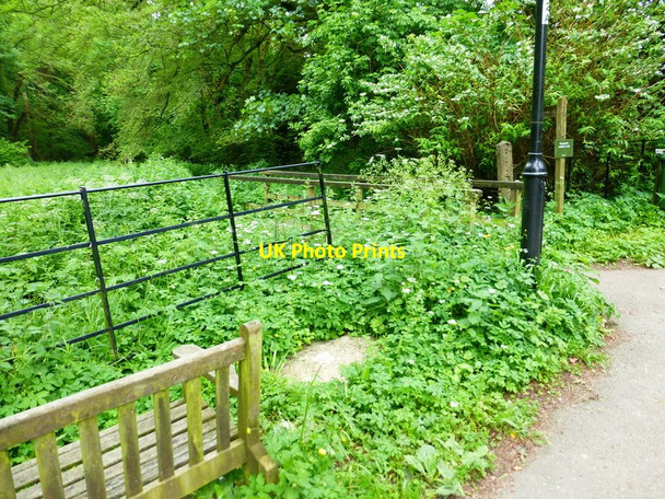 Photo 6"x4" Bench by footbridge East End\/SU6424 c2014