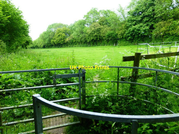 Photo 6"x4" Path crosses field on the way to Doctors Lane East End\/SU6424 c2014