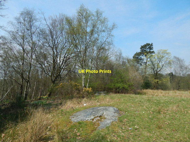 Photo 6"x4" Cup-and-ring-marked rocks Bearsden c2014
