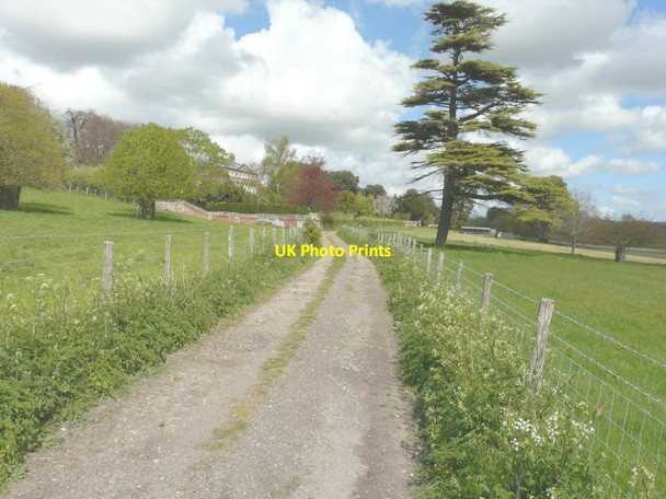Photo 6"x4" Track past Goodnestone House Goodnestone\/TR2554 c2014