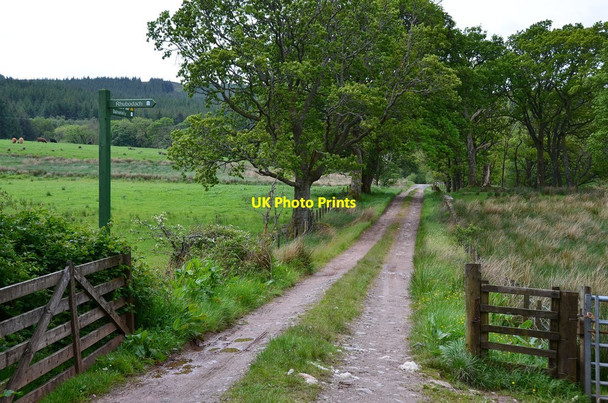 Photo 6"x4" Track near Rhubodach Colintraive c2014
