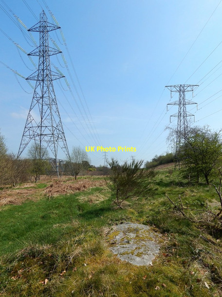 Photo 6"x4" Cup-and-ring-marked stone Bearsden c2014