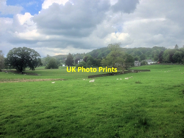 Photo 6"x4" Farmland near Esthwaite Water Far Sawrey c2014