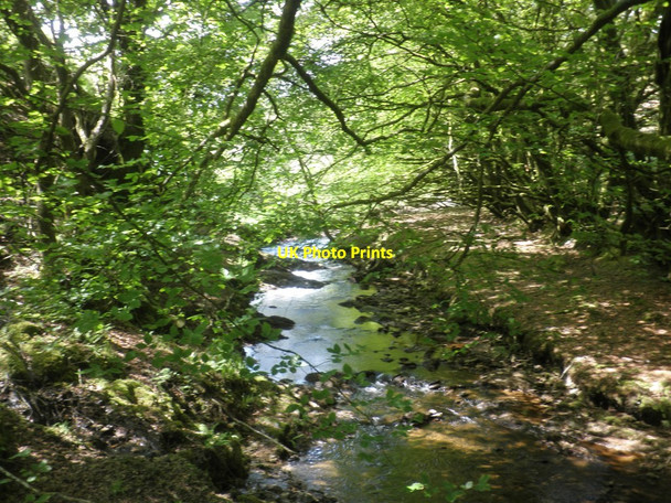 Photo 6"x4" The infant River Exe, near Warren Bridge Simonsbath c2014