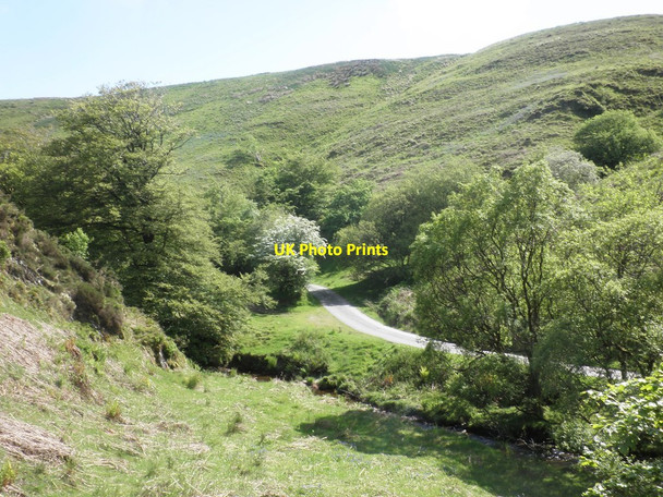 Photo 6"x4" Three Combe Hill Simonsbath c2014