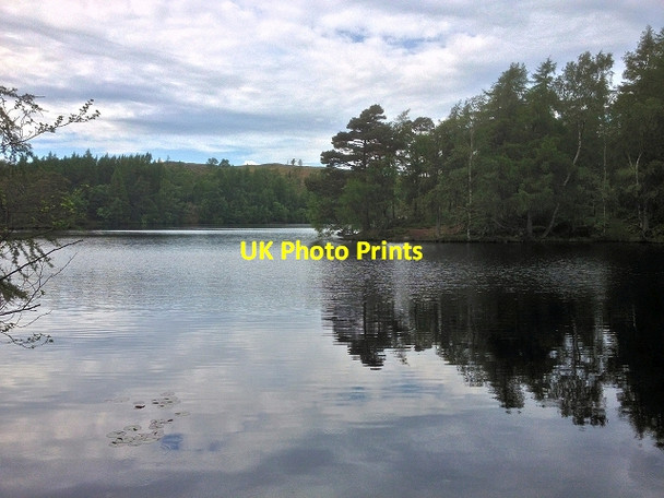 Photo 6"x4" High Dam Finsthwaite c2014