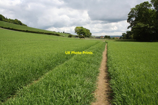 Photo 6"x4" Footpath approaching junction west of Starveall Farm Moulsford c2014