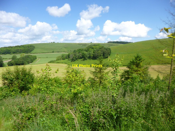 Photo 6"x4" Fontmell Magna, Littlecombe Bottom Fontmell Magna c2014