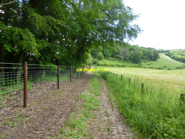 Photo 6"x4" Littlecombe Bottom, footpath Compton Abbas c2014