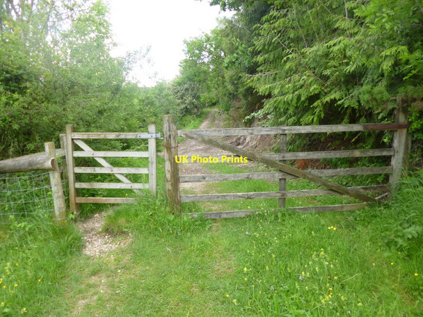 Photo 6"x4" Littlecombe Down, gates Compton Abbas c2014