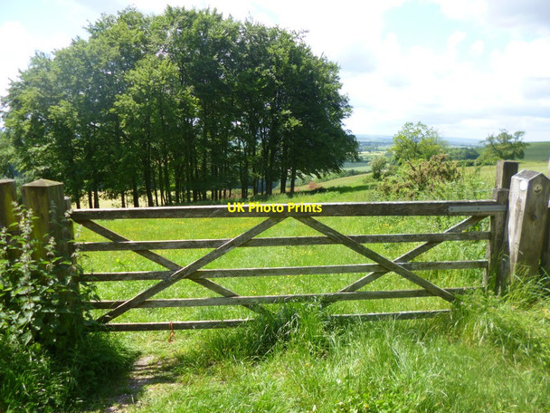 Photo 6"x4" Littlecombe Down, gate Compton Abbas c2014