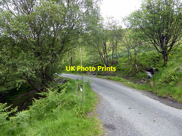 Photo 6"x4" Road through Cwm Ceulan Bont-goch or Elerch c2014