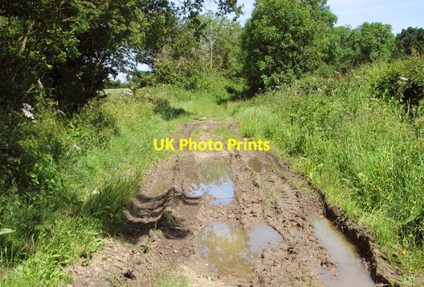 Photo 6"x4" Puddles on Birch Way Thwaite St Mary c2014