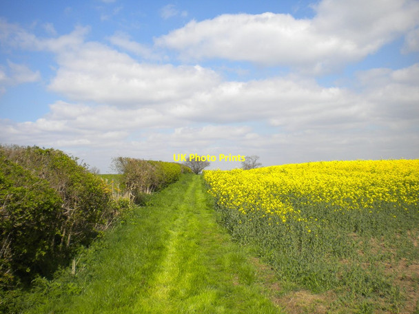 Photo 6"x4" Field edge footpath south of East Leake Stanford Hills c2014