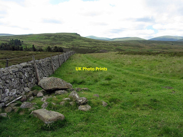 Photo 6"x4" Boundary wall north of Common Burn Akeld c2014