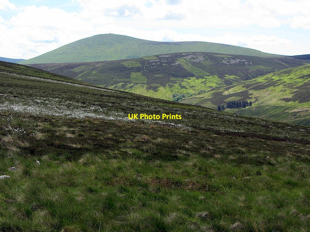 Photo 6"x4" West side of Preston Hill Lambden Burn\/NT9123 c2014