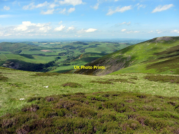 Photo 6"x4" Hillside below Wester Tor Kirknewton\/NT9130 c2014