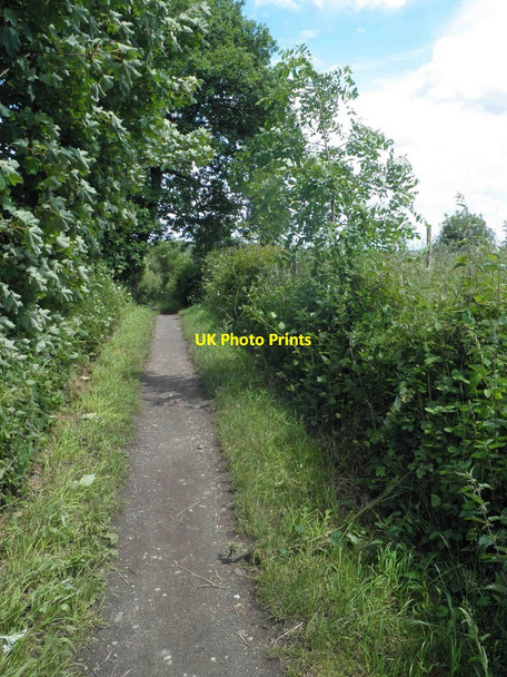 Photo 6"x4" Trans Pennine Trail (TPT) near Silkstone Common Berry Moor c2014