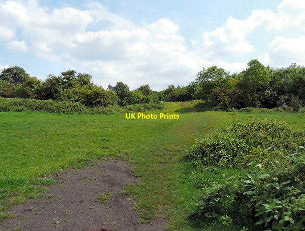Photo 6"x4" Path to Pole Acre Hyde\/SJ9494 c2014