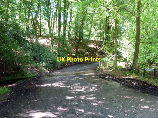Photo 6"x4" Ford on Whitmore Vale Grayshott c2014