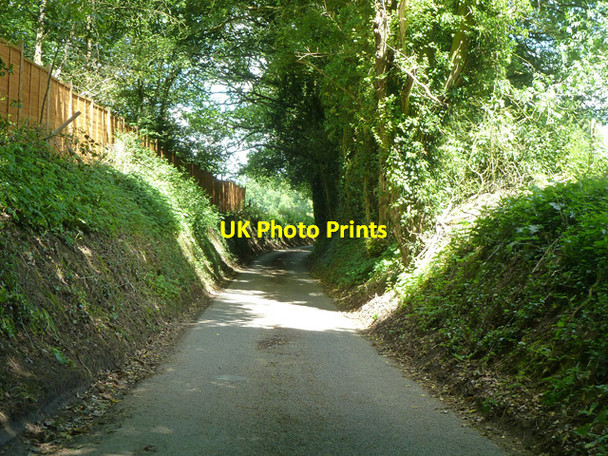 Photo 6"x4" Bacon Lane Barford\/SU8537 c2014