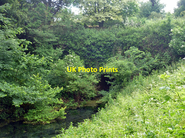 Photo 6"x4" Greywell Tunnel, eastern end Greywell c2014