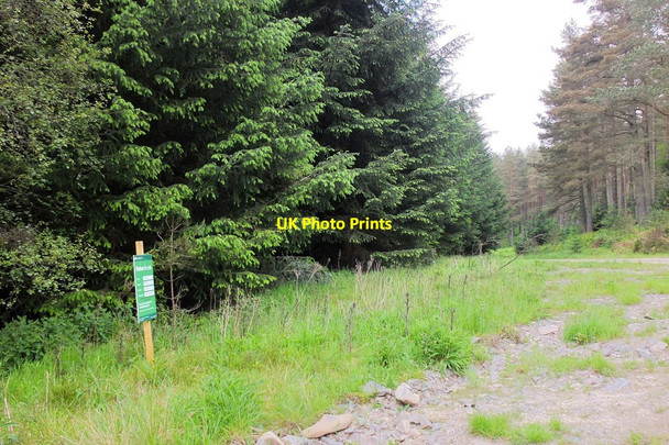 Photo 6"x4" Timber for sale, Elibank and Traquair Forest Holylee c2014