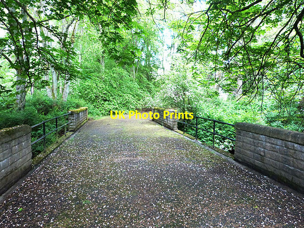 Photo 6"x4" Bridge over the Eddleston Water Waterheads c2014